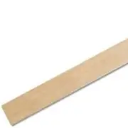 PAINT STICK FOR 1 GALLON PAIL