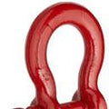 SHACKLE SCR PIN 7/8 6-1/2T S209 1018525
