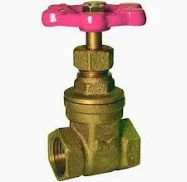 VALVE GATE 1/4 B100 125# SB TH