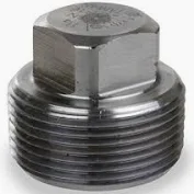 PLUG FS 2" SCR