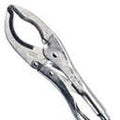 VISE GRIP LARGE JAW PLIER 12LC-3