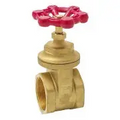 VALVE GATE BRASS 2-1/2 #125