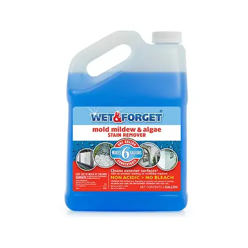 WET - FORGET 1 GAL