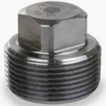PLUG FS 1" SCR