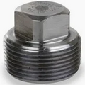 PLUG FS 1" SCR