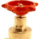 VALVE GATE BRASS 3/4 #125