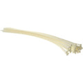 TYL-36-175-9-L 36"NATURAL CABLE TIE 50CT THOMAS BETTS