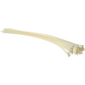 TYL-36-175-9-L 36"NATURAL CABLE TIE 50CT THOMAS BETTS