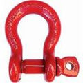 SHACKLE SCR PIN 1-1/4"12T S209 1018589